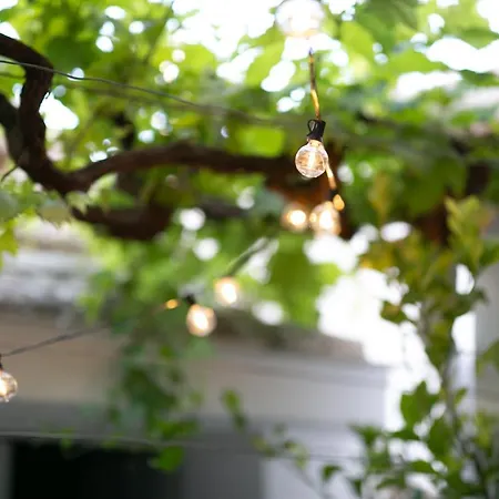 Trullo Alfieri - Relax E Garden Alberobello