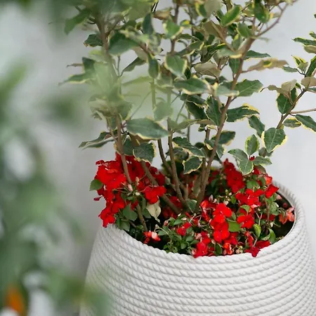 Trullo Alfieri - Relax E Garden