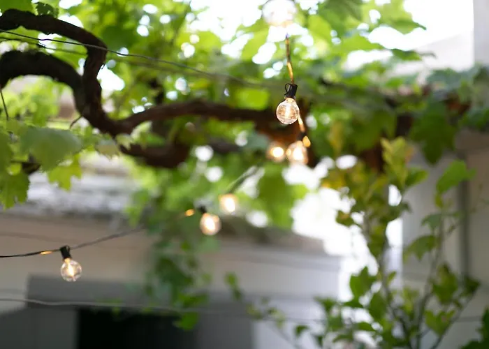 Trullo Alfieri - Relax E Garden 阿尔贝罗贝洛